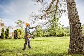 Lawn Maintenance Plans in Parkesburg, PA